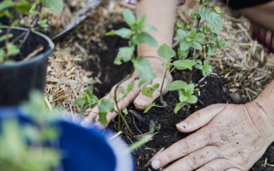 5 Lecciones de liderazgo de una jardinera